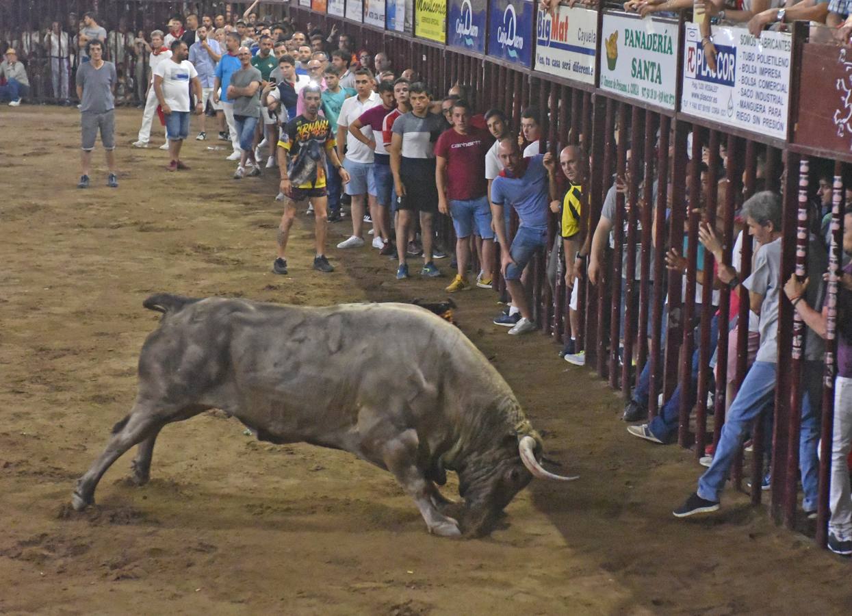 Otro gran toro en la madrugada del día 25