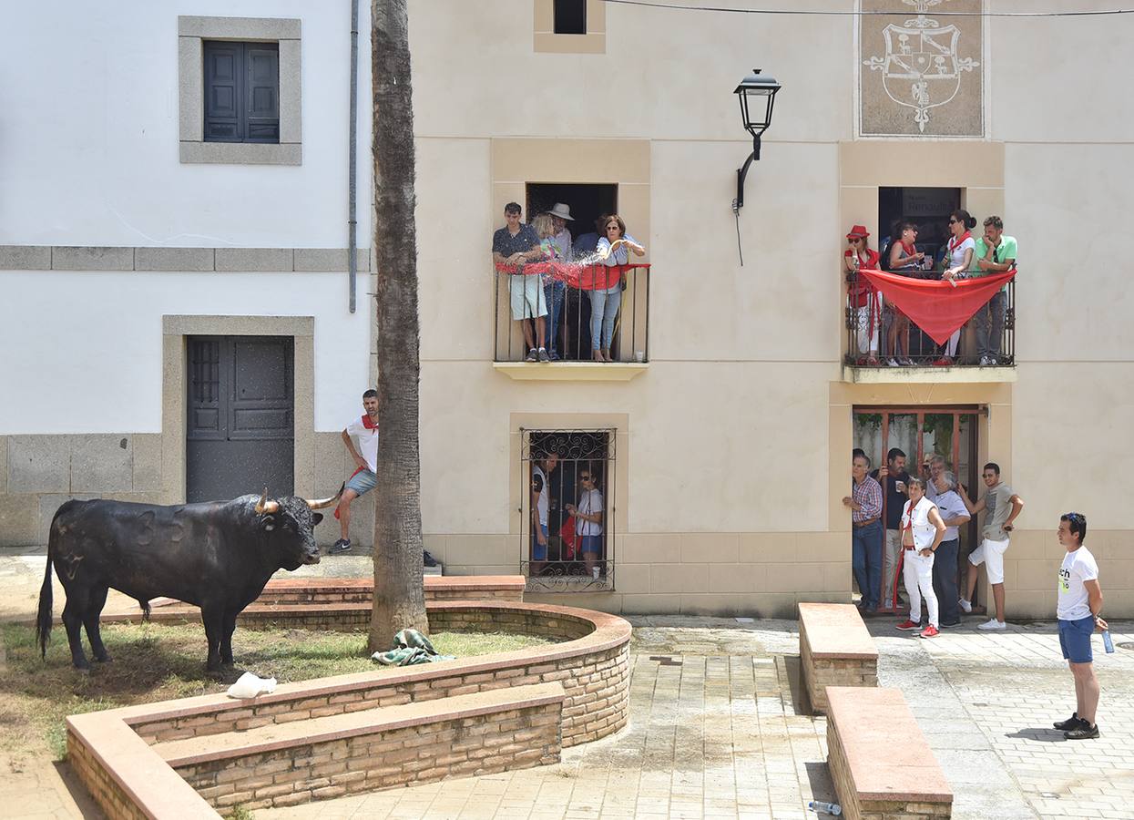Lentisco, primer toro de la Junta de Defensa