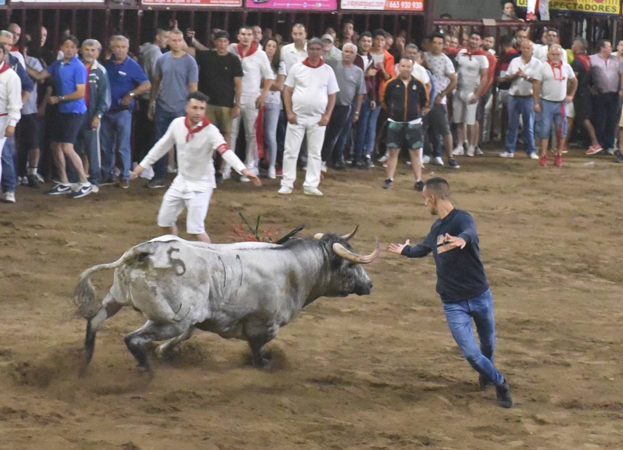 Napolitano otro toro incansable en la lidia por las calles