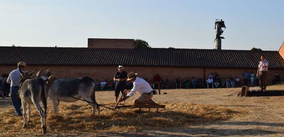 El Museo Vostell Malpartida acoge con éxito una jornada que combinó vanguardia y tradición
