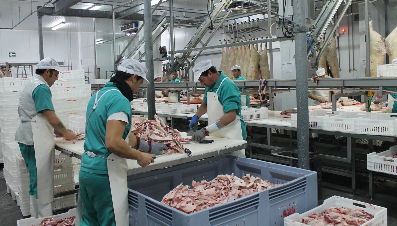 El PP de Jerez, preocupado porque los impulsores del gran matadero del ibérico estén buscando terrenos en pueblos de Huelva