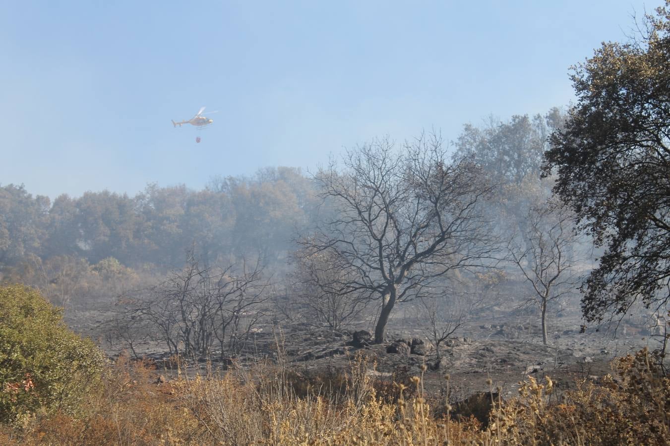 Nuevo incendio en Jerez, esta vez en la zona de 'Los Cotos'