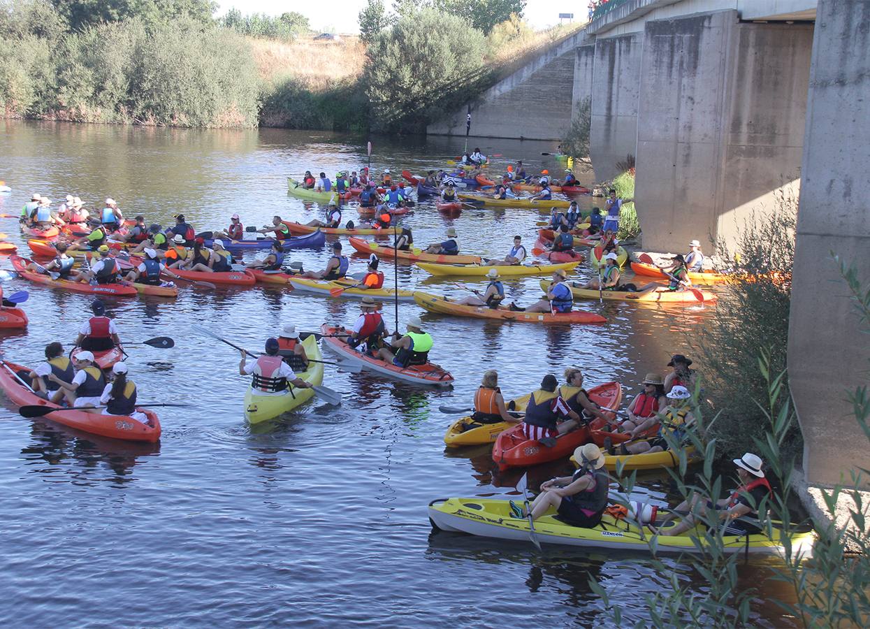 Unos 400 palistas participarán mañana en el Descenso del Alagón