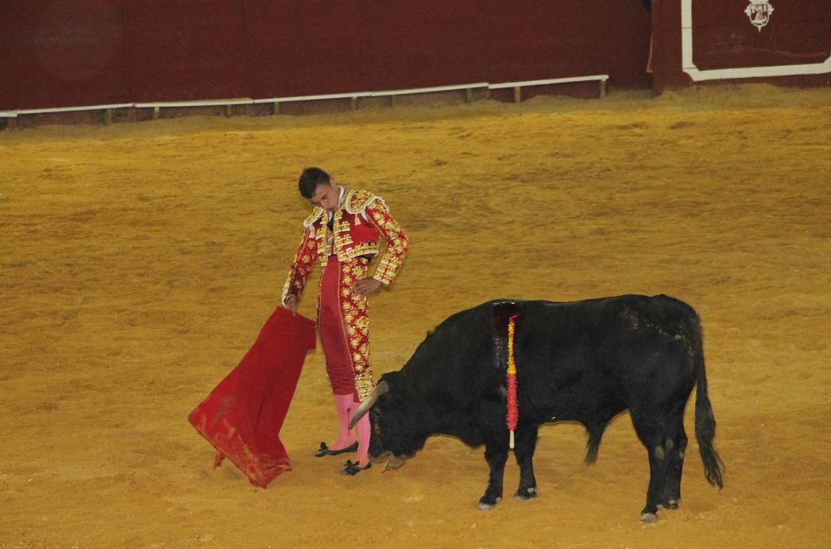 Continúa abierto el plazo de recogida de invitación para la novillada del próximo 16 de agosto