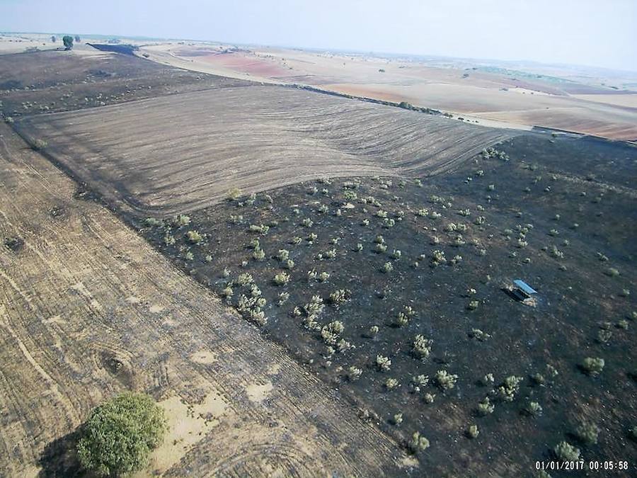 Un total de 143 hectáreas resultaron calcinadas en el incendio proveniente de Mourâo