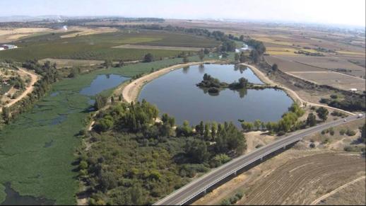 Reunión de la Delegada del Gobierno con los alcaldes de municipios afectados por el camalote