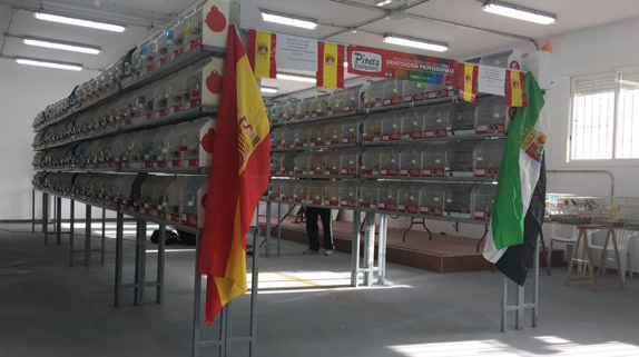 El 26 de octubre dará comienzo el Concurso de Exposición Ornitológica en Malpartida de Cáceres