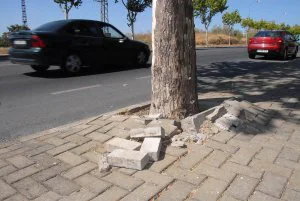 Las raíces de los árboles levantan la acera de la avenida de Portugal | Hoy