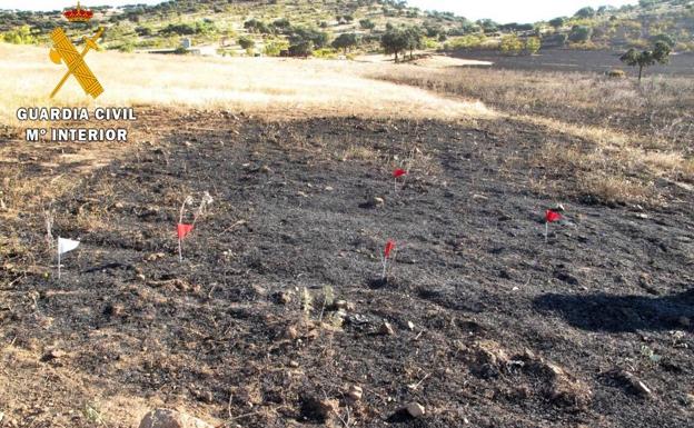 La Guardia Civil investiga al presunto autor del incendio forestal del pasado 27 de mayo en 'Los Canchales'