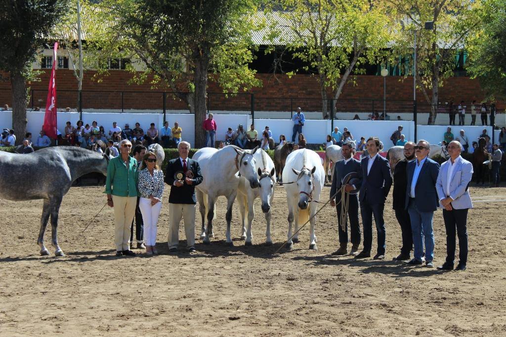 Un total de 115 caballos de 45 ganaderías han participado en XXXI Concurso Morfológico Internacional de Caballos de Pura Raza Española