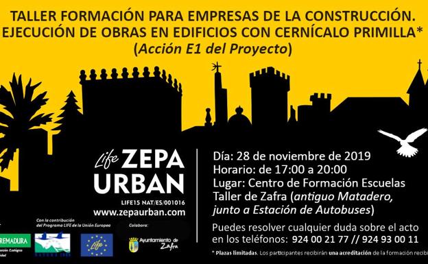 Las empresas de la construcción que ejecutan obras en edificios con cernícalos Primilla podrán participar en un taller formativo