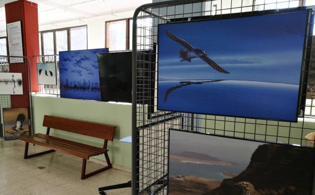 El IES Suárez de Figueroa acoge la exposición de FOTOFIO sobre aves silvestres