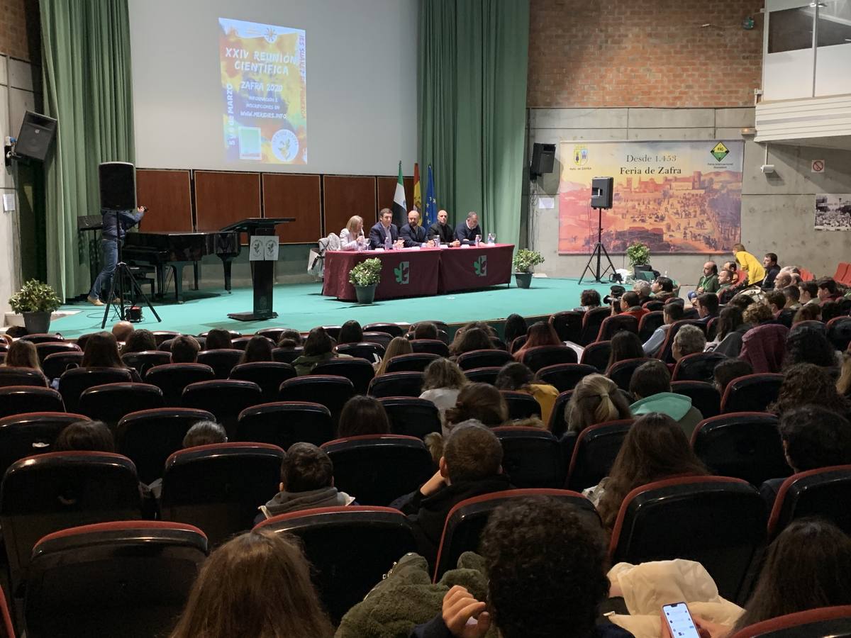 Un total de 280 alumnos han participado en las XXIV Reuniones Científicas para Estudiantes de Educación Secundaria
