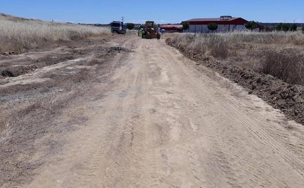 Las máquinas trabajan en el camino que va a ser utilizado durante la construcción del nuevo matadero