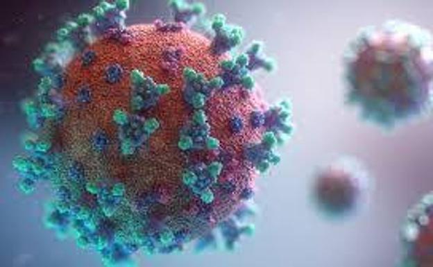 Los casos positivos por coronavirus en Zafra suben de nuevo hasta los 38