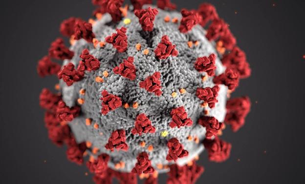 Los casos positivos por coronavirus en Zafra se sitúan este domingo en los 76