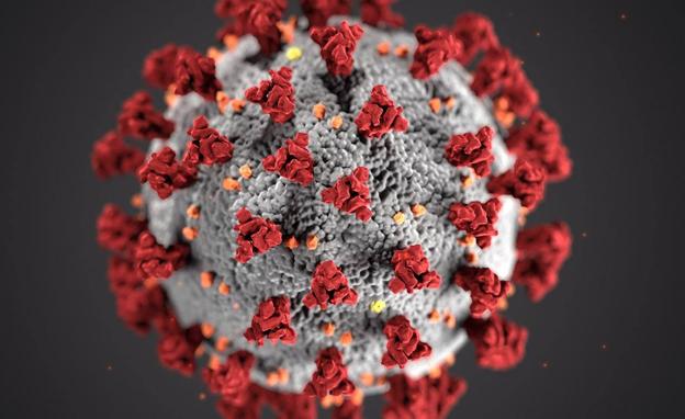 Diciembre comienza con un nuevo fallecimiento a causa del coronavirus, un hombre de 61 años