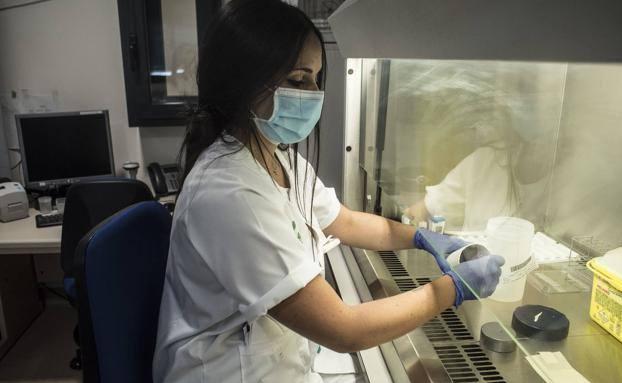 Zafra alcanza en el día de Reyes los 57 casos positivos por coronavirus