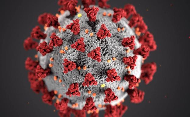 Los casos positivos por coronavirus bajan este viernes la barrera de los 200