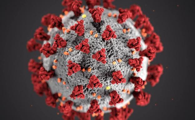 En Zafra solo quedan activos 9 casos diagnosticados por coronavirus