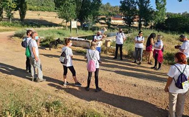 El proyecto Libera y Zafra en Verde conmemorarán con distintas actividades el Día del Medio Ambiente