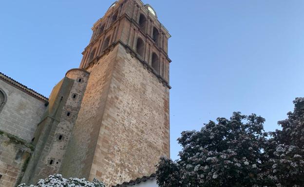 La Hermandad del Amarrao celebrará 24 horas de Adoración al Santísimo