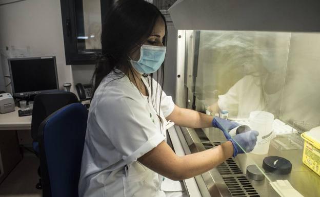 Zafra solo notifica hoy un caso nuevo positivo por coronavirus