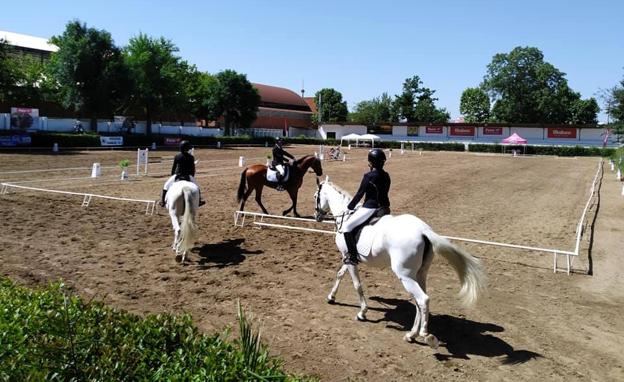 Los alumnos de la escuela de equitación ANCAPEDRO ofrecen este sábado un Carrusel Ecuestre en el recinto hípico