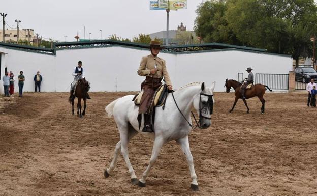 Una treintena de jinetes han participado en el Campeonato Regional de Doma Vaquera