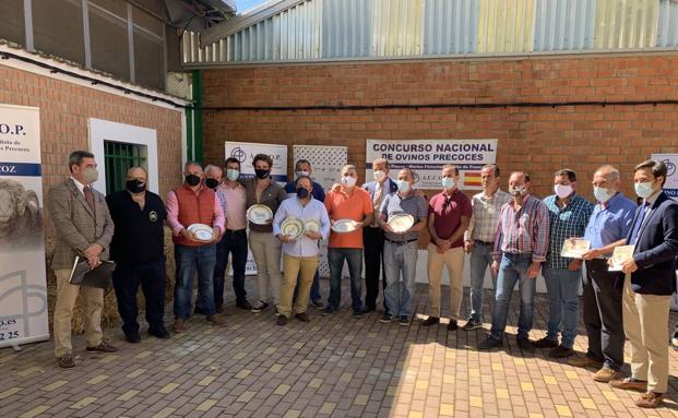 Unos 450 ejemplares de ovinos precoces están en la feria de Zafra y 20 irán a subasta
