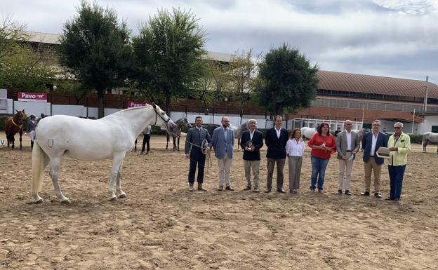 La Yeguada Batán gran campeona del concurso de los Pura Raza Española