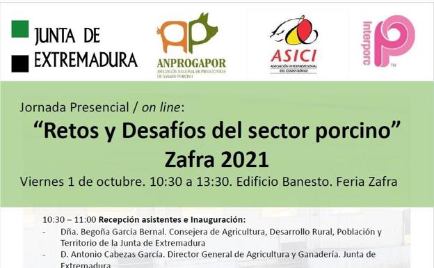 La Junta desarrolla una jornada técnica sobre 'Retos y Desafíos del sector del porcino'