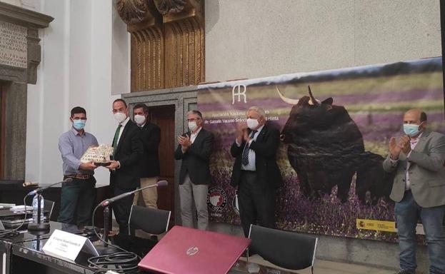 La Ganadería de José María Mateo Salgado y el macho que presentó campeones en el concurso morfológico de la raza Retinta