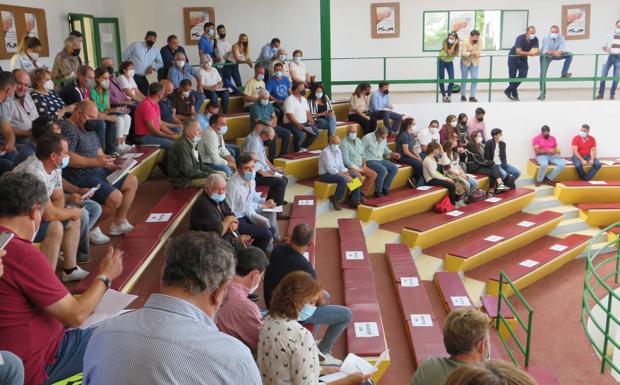 Las subastas de vacuno de la Feria de Zafra superan los 76.500 euros