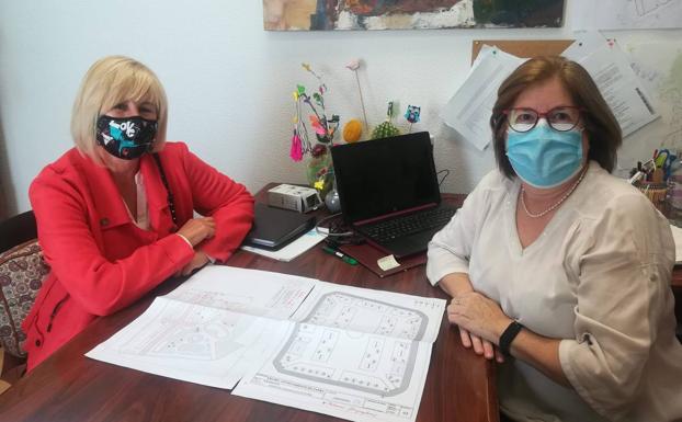 El ayuntamiento ha de talar casi 40 palmeras para cortar la plaga de picudo rojo