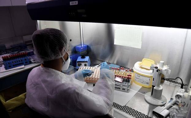 Este jueves se notifican 5 nuevos casos positivos por coronavirus y 5 altas