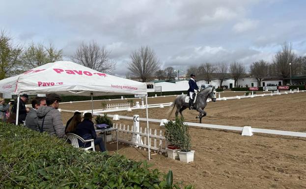 Gran participación de caballos en el concurso territorial de doma clásica y doma vaquera organizado por el Centro Ecuestre 'Las Dehesillas'