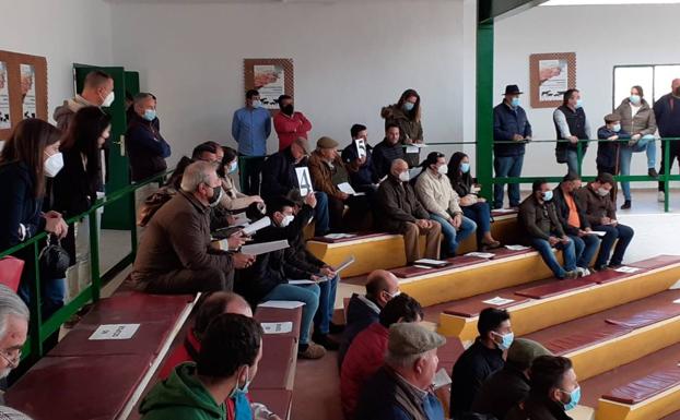 La Feria de Primavera cierra con éxito su subasta de ovino con un remate de casi 27.000 euros