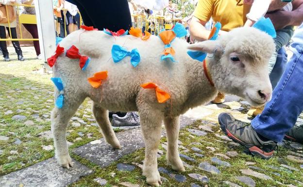 Unos 30 niños han participado en el Aleluya con sus borreguitos ataviados con lazos de colores