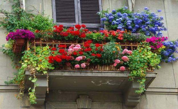 El CIT convoca la segunda edición del concurso de decoración de balcones y ventanas para esta primavera