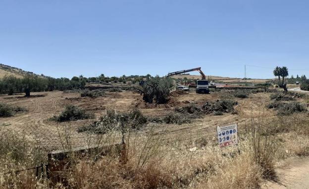 Comienzan las obras de la Variante de Zafra