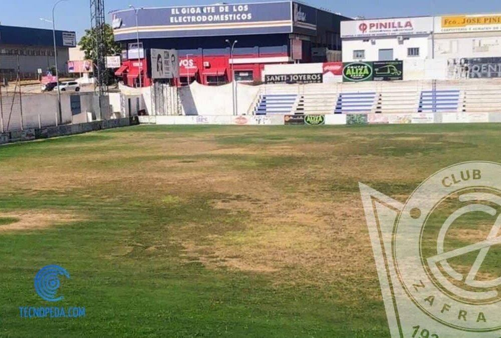 Las zonas de césped más despobladas del Nuevo Estadio serán replantadas por el ayuntamiento
