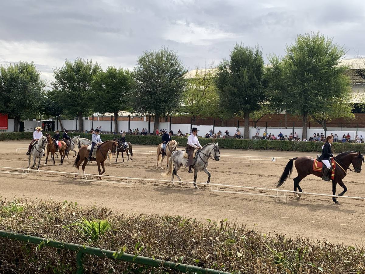 El Carrusel Ecuestre se celebrará el próximo sábado en la pista hípica