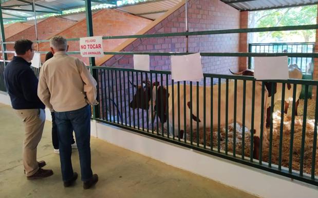 La Asociación Nacional de la Raza Berrenda entregó los premios del XIV concurso en colorado y en negro