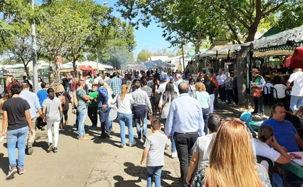 ¡Esta sí que es mi feria!