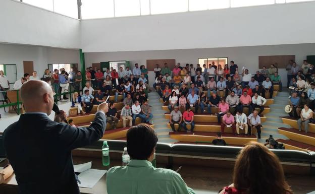 Las subastas de la raza merina alcanzan en la FIG un remate total de 41.130 euros