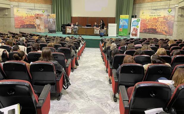 Celebrada en Zafra la primera Mesa Comarcal por el Buen Trato a la Infancia y Adolescencia en Extremadura
