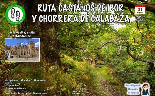 Arsa-Zalamea organiza una ruta senderista para el próximo domingo, 31 de octubre